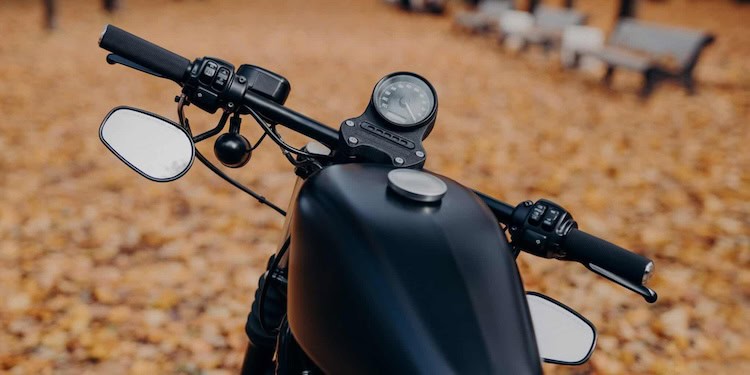 A black motorcycle's handlebars in a n open space with fall foliage on the ground.
