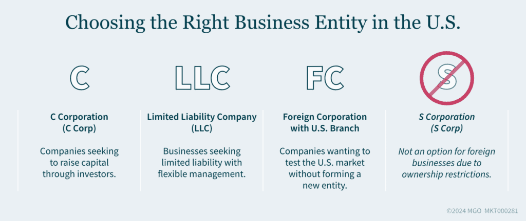 infographic on choosing the right business entity in the US