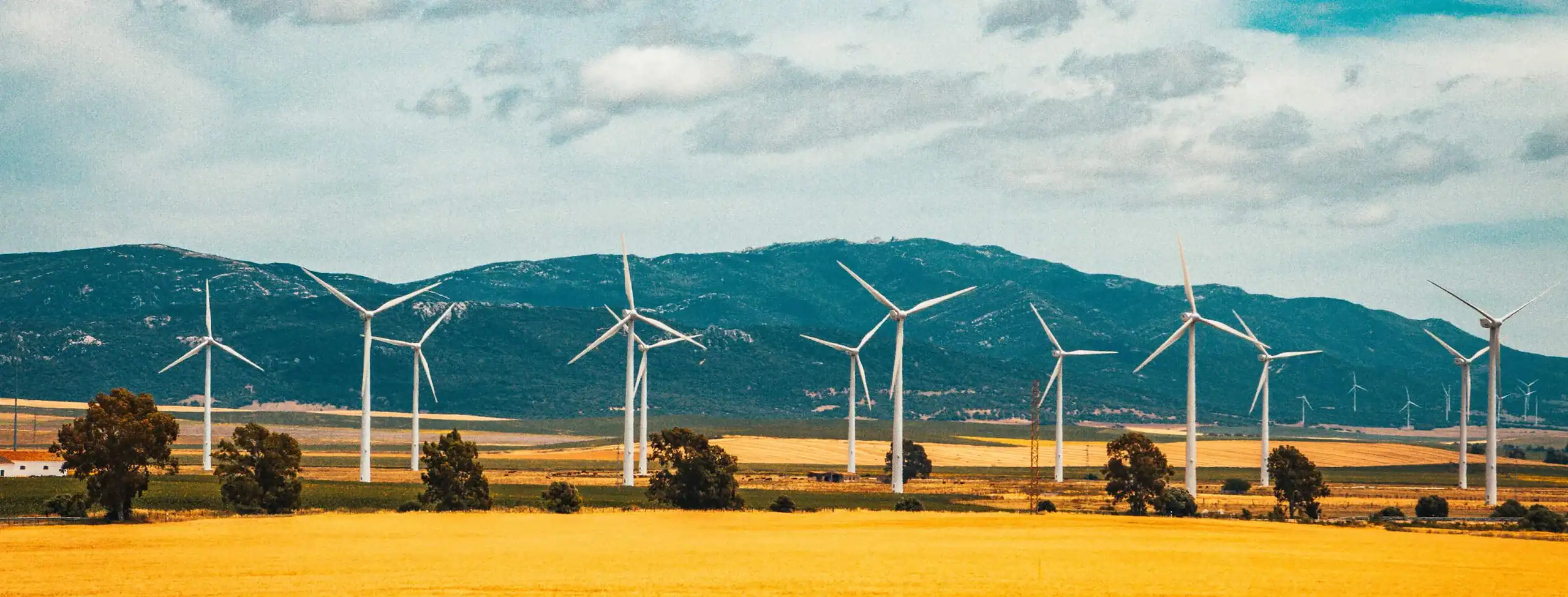 Image of Wind Turbines